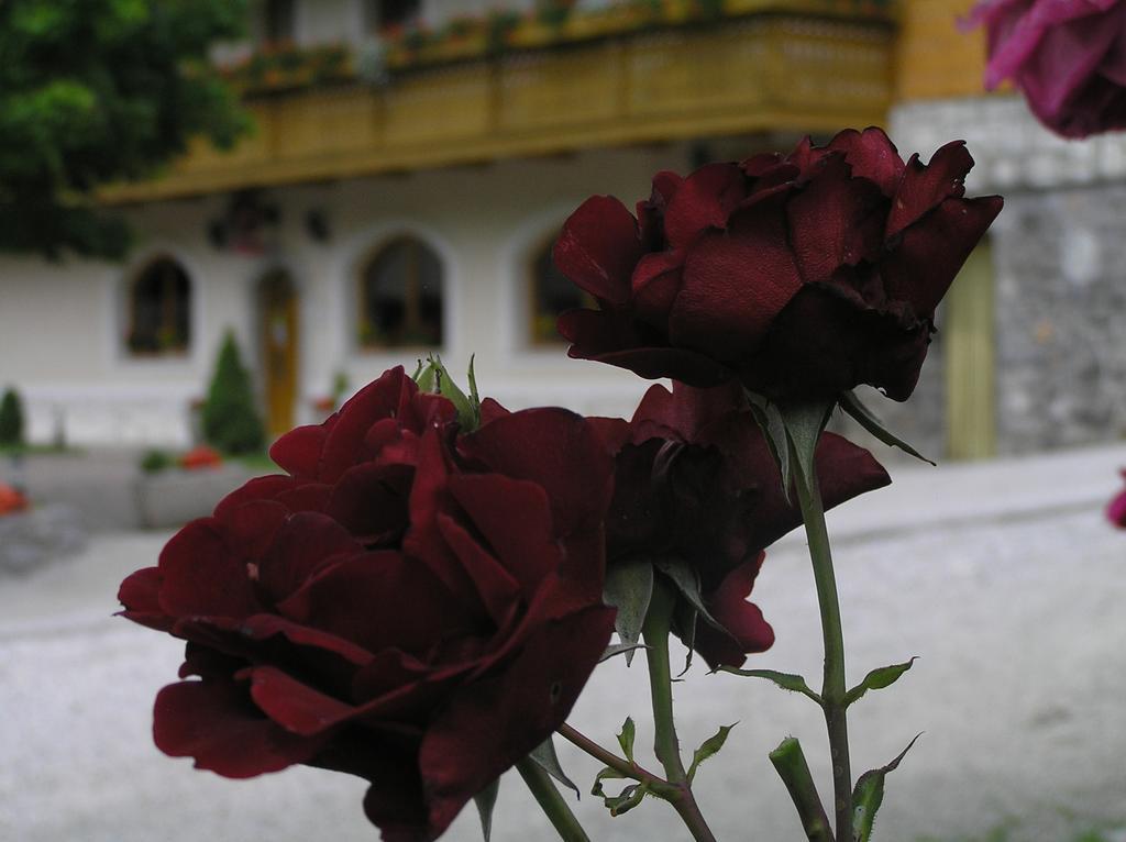 Guest House Kveder Skofja Loka ภายนอก รูปภาพ